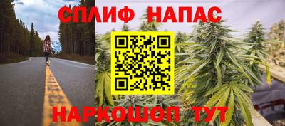 стафф Сланцы