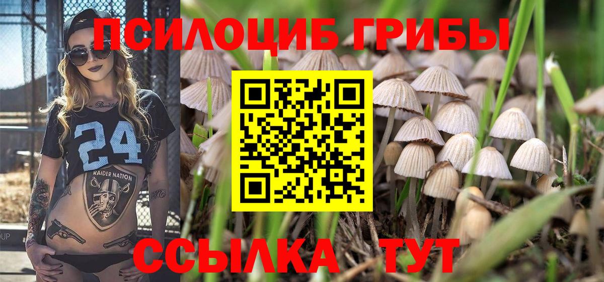 Псилоцибиновые грибы GOLDEN TEACHER  Вход с VPN  Полевской 